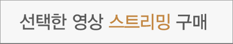 선택한 영상 스트리밍 구매